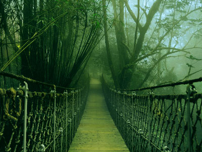 Vythiri